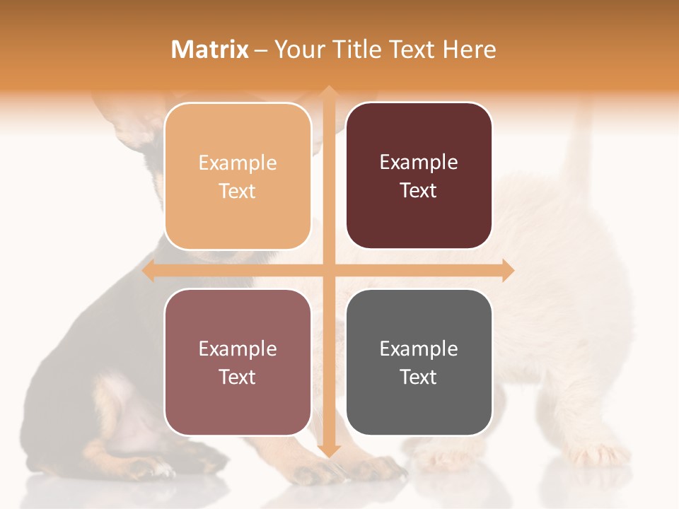 Chihuahua Cat Russian PowerPoint Template