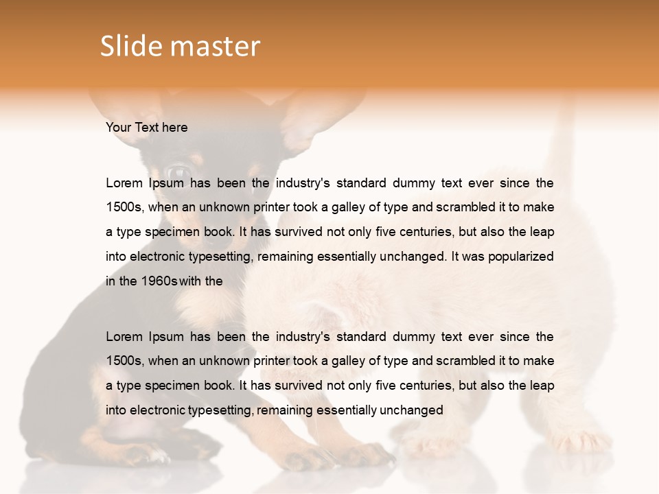 Chihuahua Cat Russian PowerPoint Template