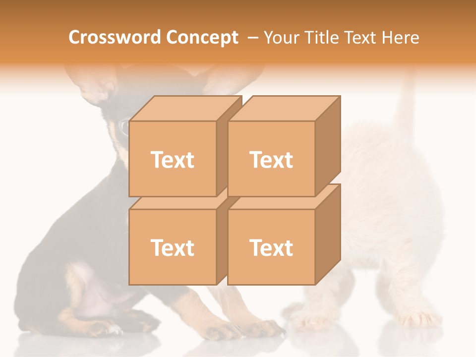 Chihuahua Cat Russian PowerPoint Template