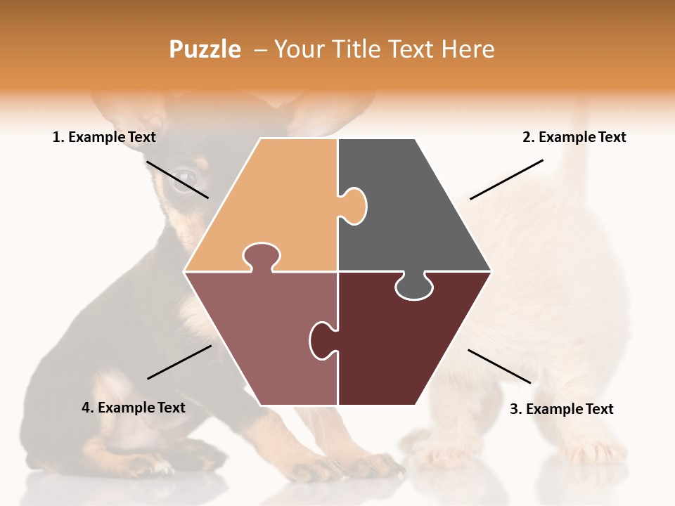 Chihuahua Cat Russian PowerPoint Template