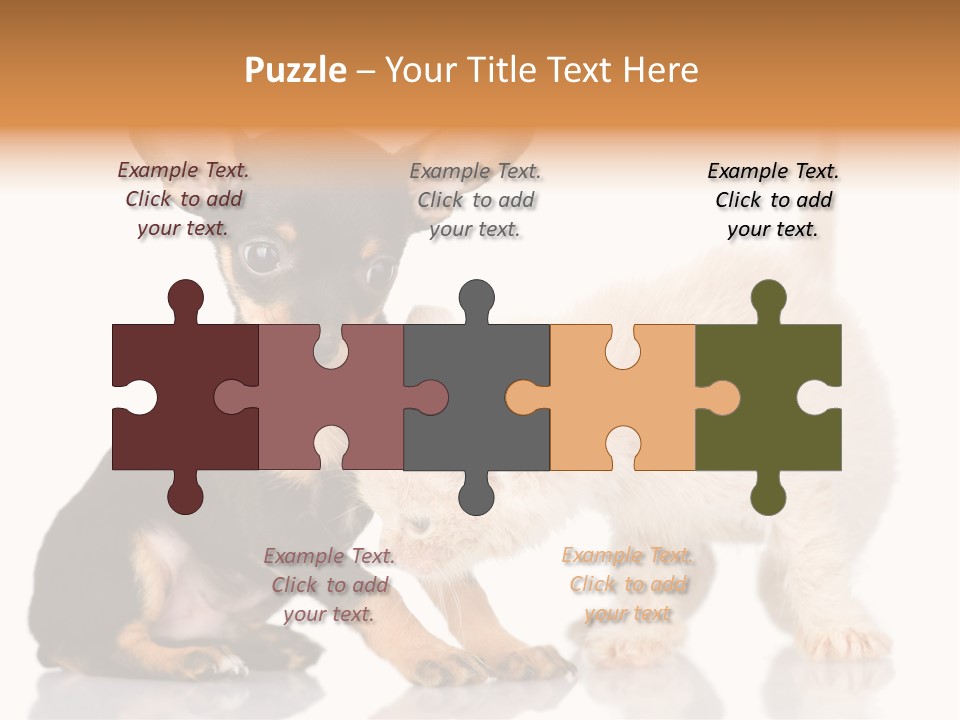 Chihuahua Cat Russian PowerPoint Template