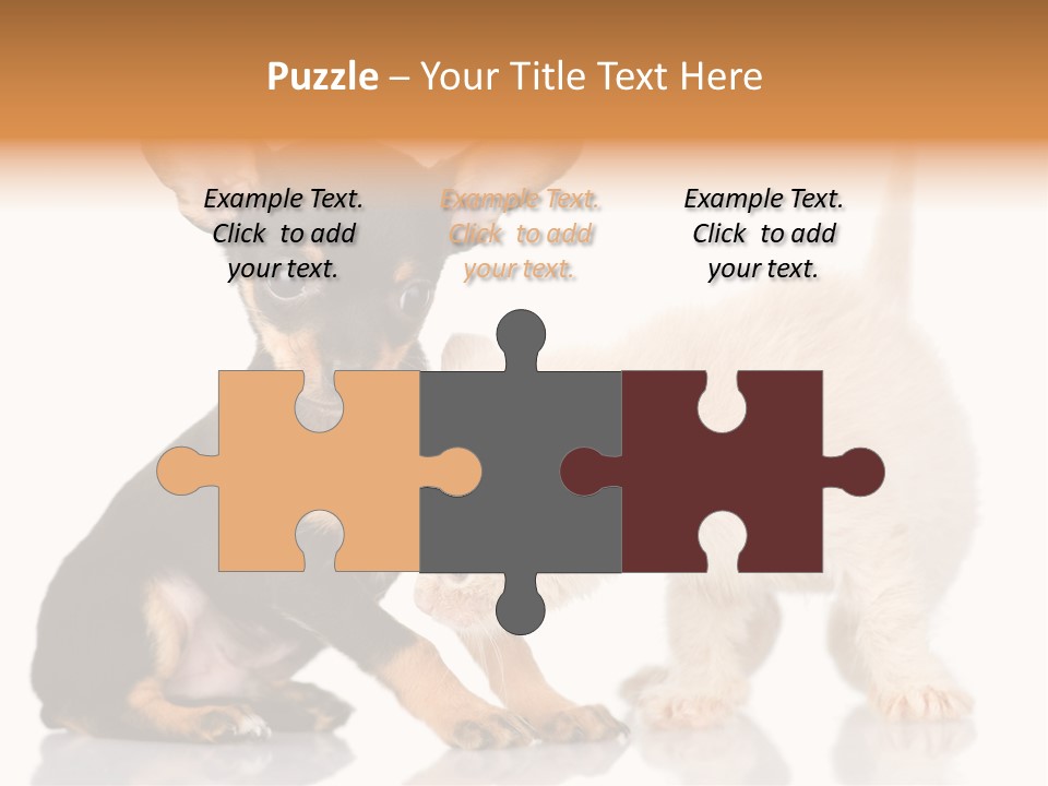 Chihuahua Cat Russian PowerPoint Template