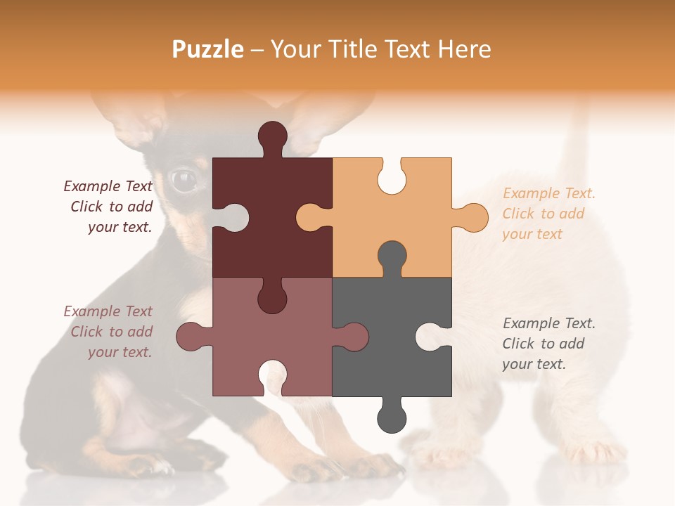 Chihuahua Cat Russian PowerPoint Template