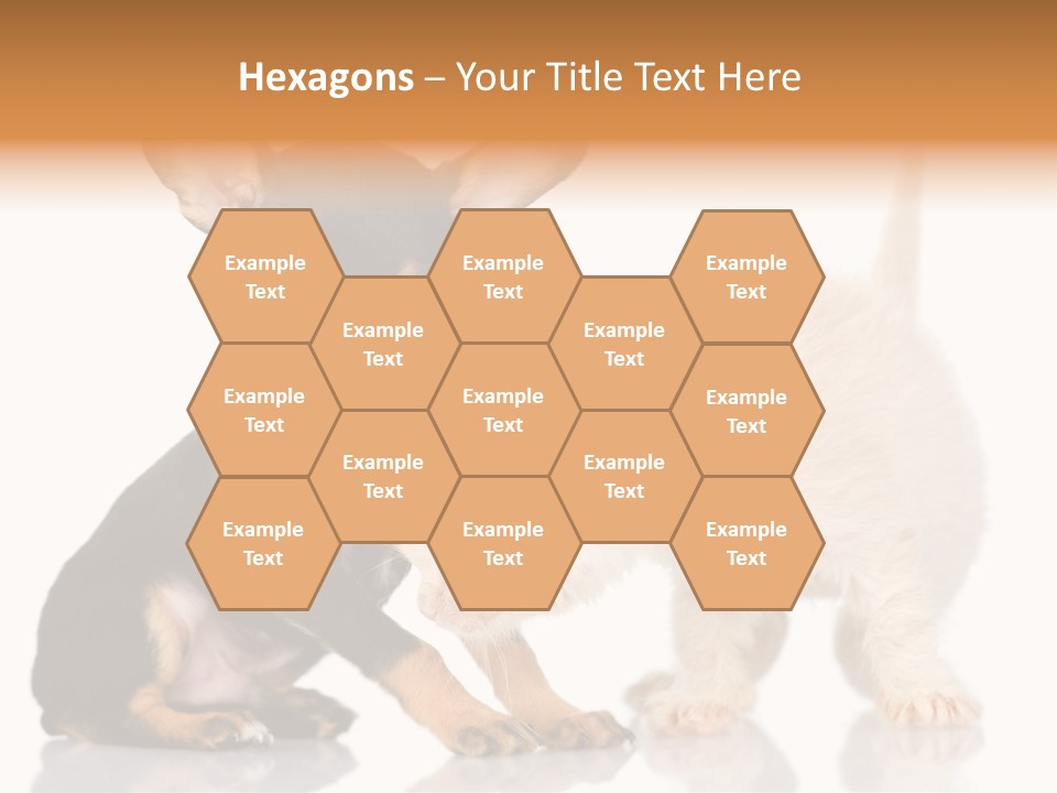 Chihuahua Cat Russian PowerPoint Template