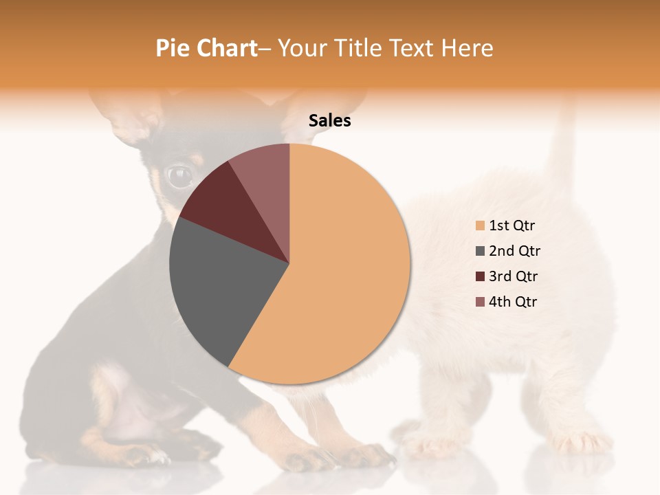 Chihuahua Cat Russian PowerPoint Template