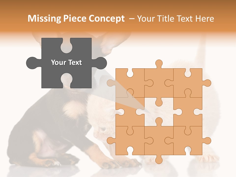 Chihuahua Cat Russian PowerPoint Template