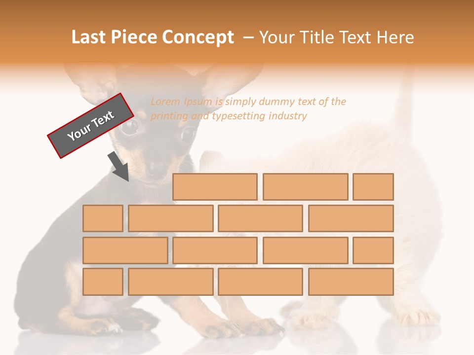 Chihuahua Cat Russian PowerPoint Template