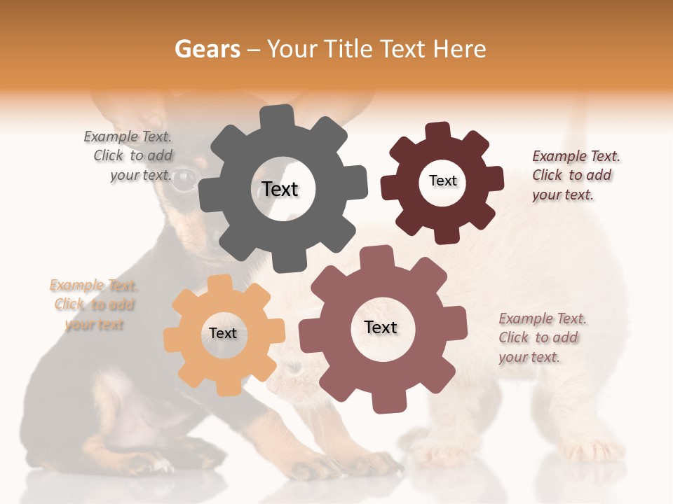 Chihuahua Cat Russian PowerPoint Template