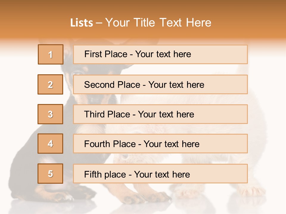 Chihuahua Cat Russian PowerPoint Template