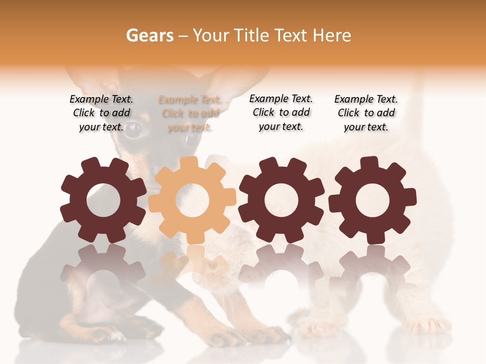 Chihuahua Cat Russian PowerPoint Template