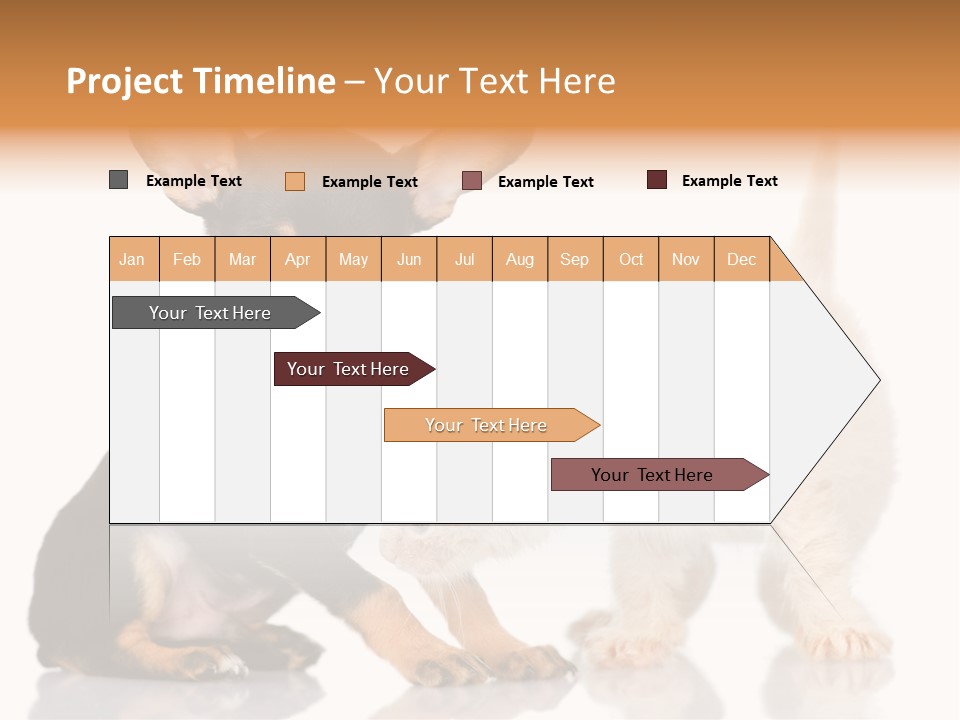 Chihuahua Cat Russian PowerPoint Template