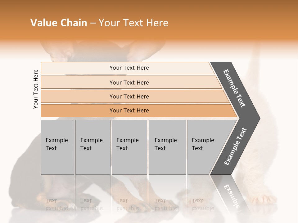 Chihuahua Cat Russian PowerPoint Template