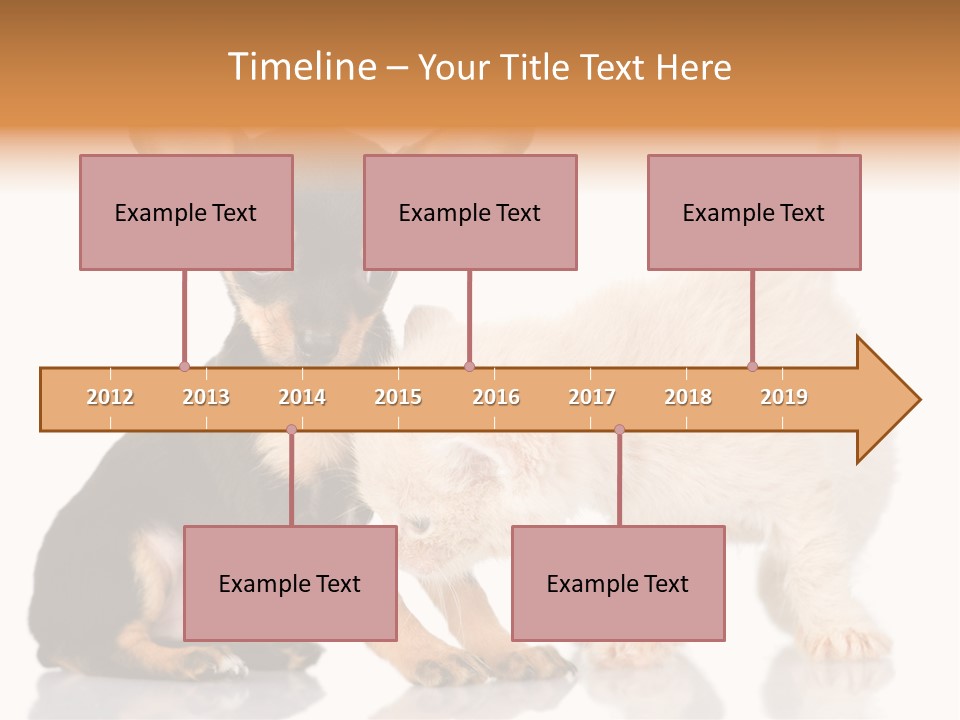 Chihuahua Cat Russian PowerPoint Template
