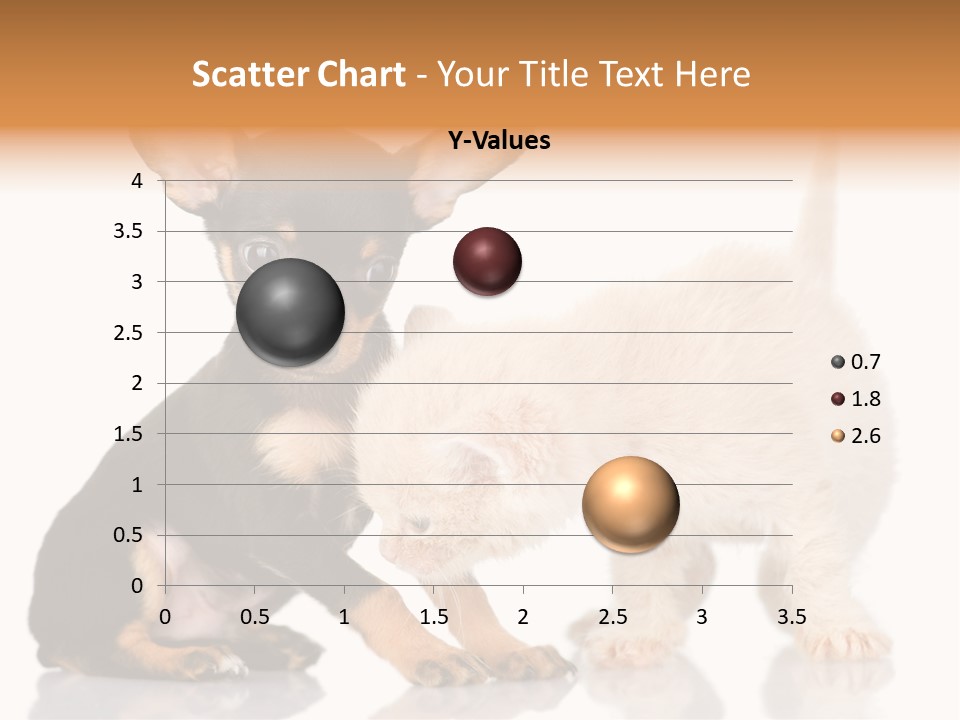 Chihuahua Cat Russian PowerPoint Template