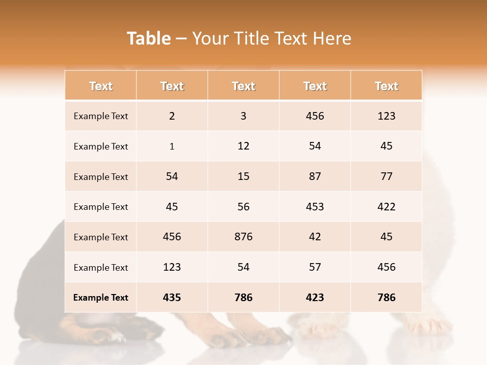 Chihuahua Cat Russian PowerPoint Template