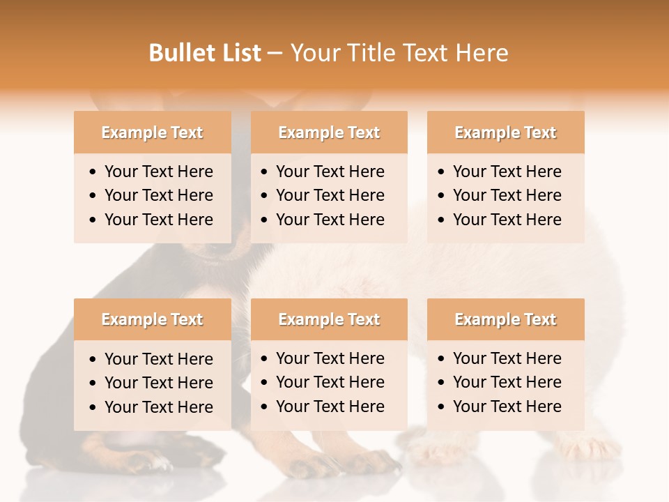 Chihuahua Cat Russian PowerPoint Template