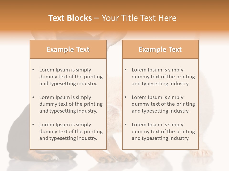 Chihuahua Cat Russian PowerPoint Template