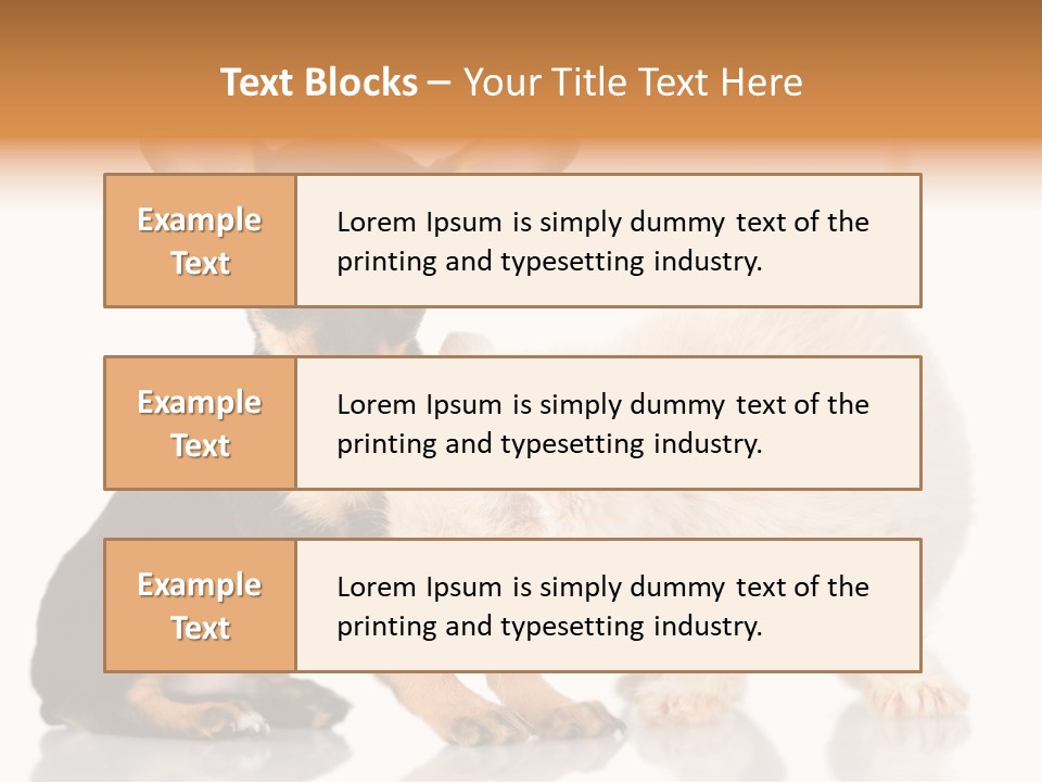 Chihuahua Cat Russian PowerPoint Template