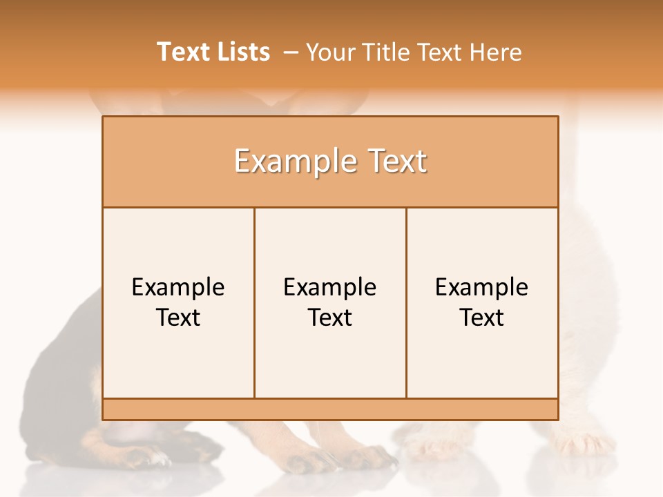 Chihuahua Cat Russian PowerPoint Template