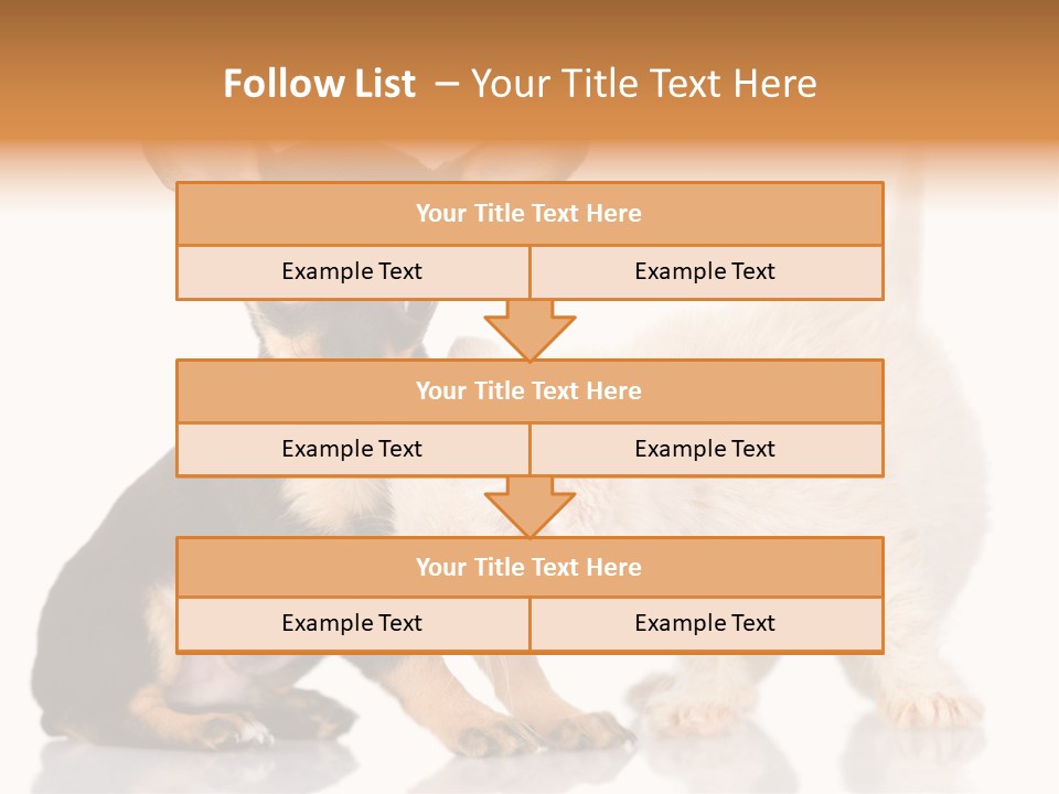 Chihuahua Cat Russian PowerPoint Template