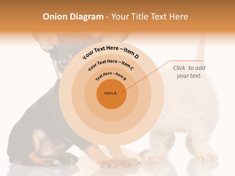 Chihuahua Cat Russian PowerPoint Template