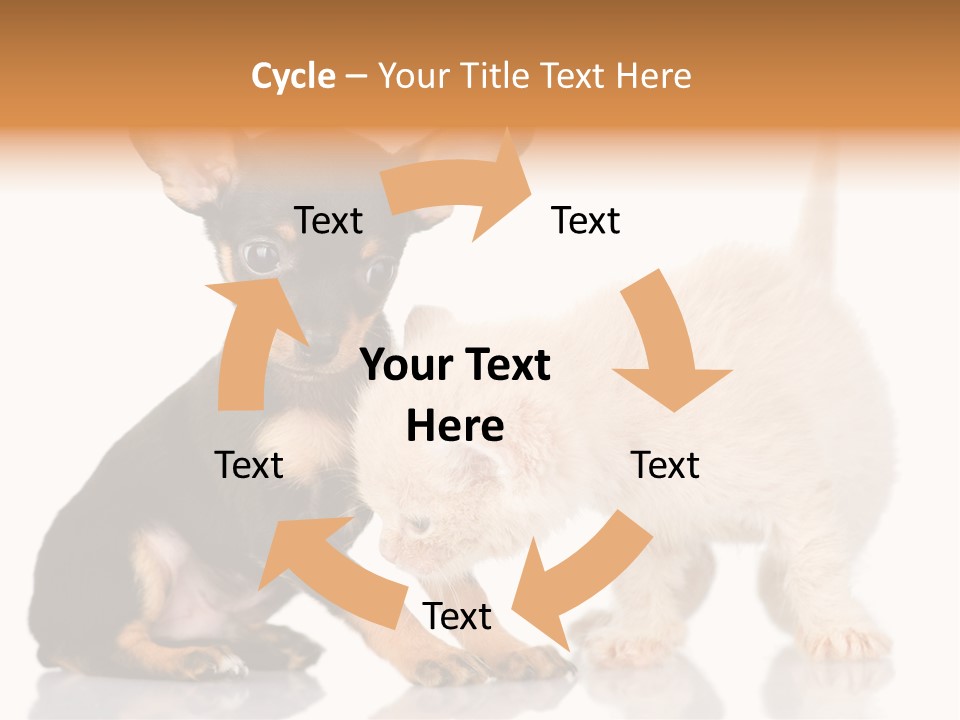 Chihuahua Cat Russian PowerPoint Template