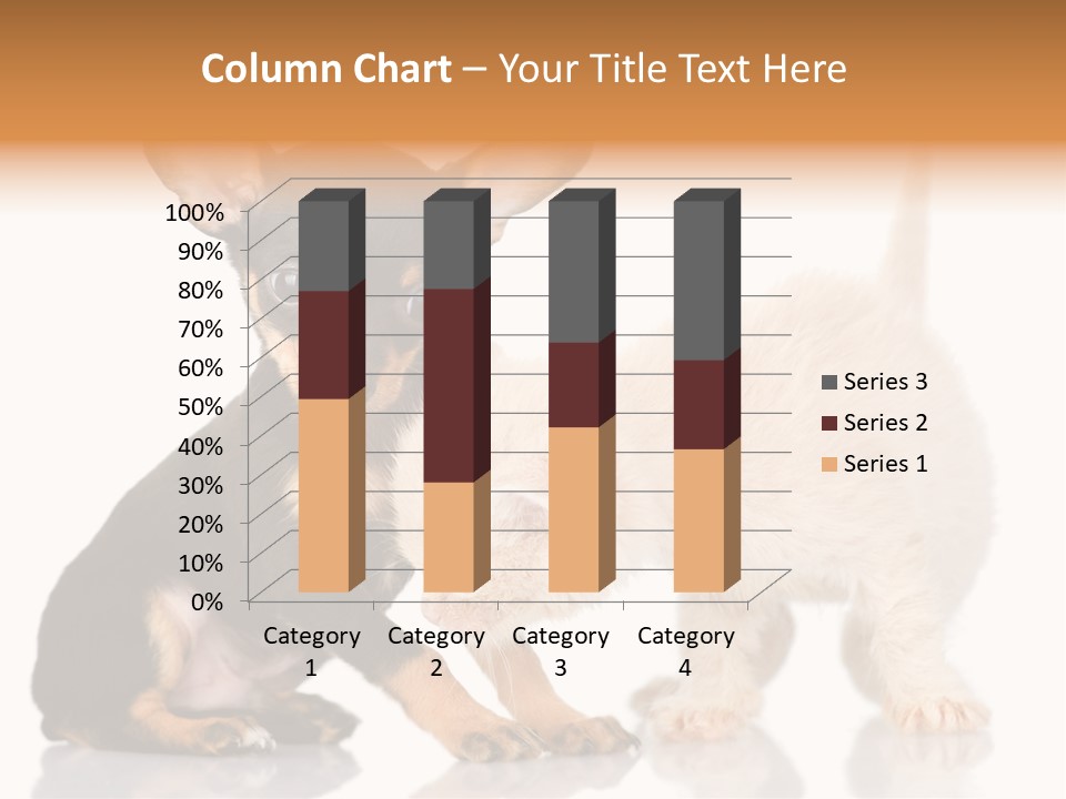 Chihuahua Cat Russian PowerPoint Template