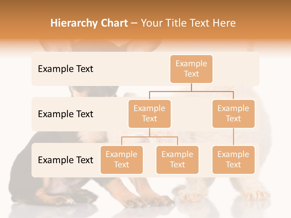 Chihuahua Cat Russian PowerPoint Template