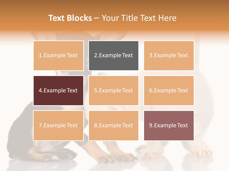 Chihuahua Cat Russian PowerPoint Template