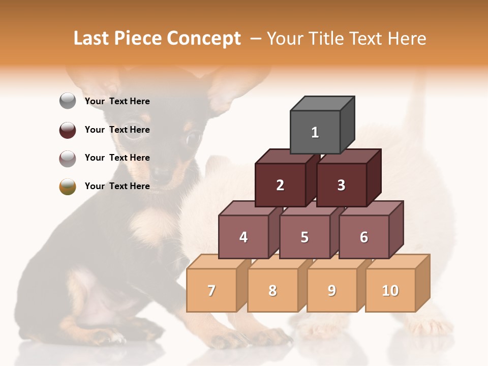 Chihuahua Cat Russian PowerPoint Template