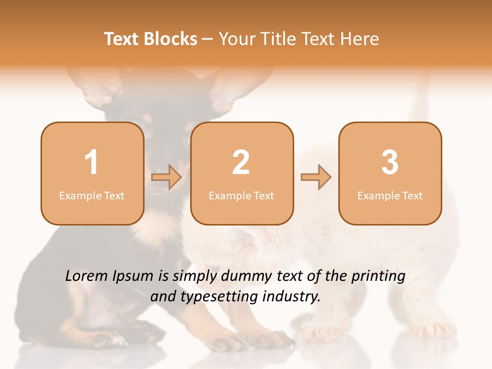 Chihuahua Cat Russian PowerPoint Template