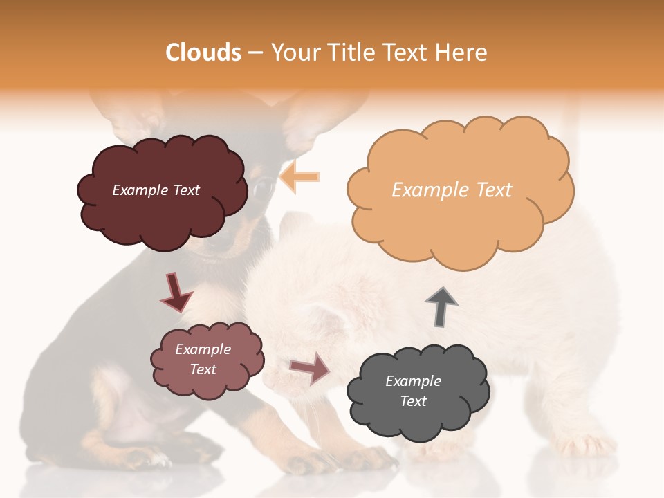 Chihuahua Cat Russian PowerPoint Template