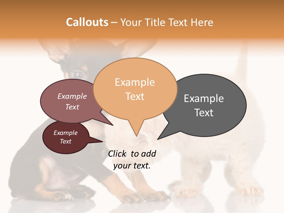 Chihuahua Cat Russian PowerPoint Template