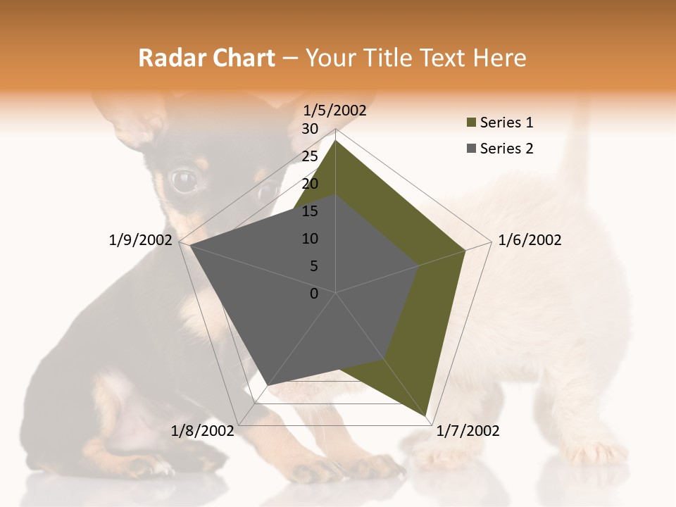 Chihuahua Cat Russian PowerPoint Template