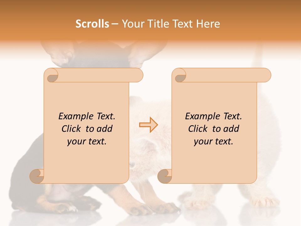 Chihuahua Cat Russian PowerPoint Template