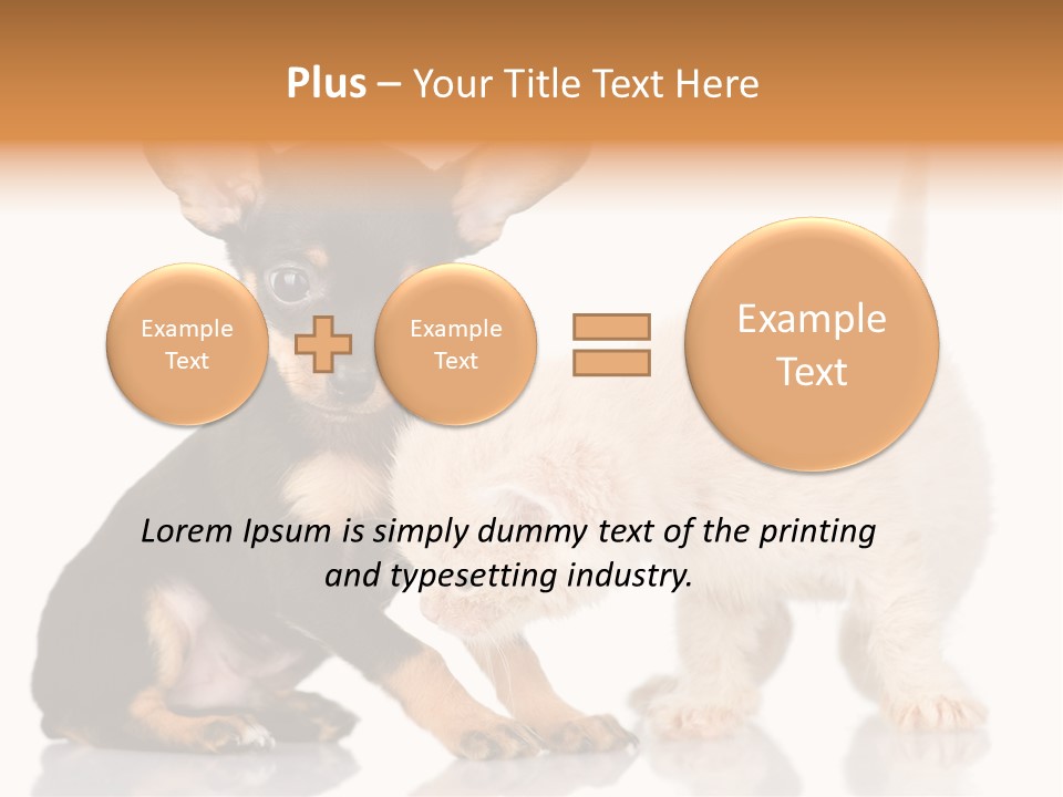 Chihuahua Cat Russian PowerPoint Template