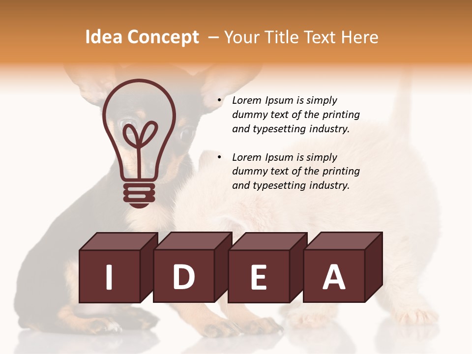 Chihuahua Cat Russian PowerPoint Template