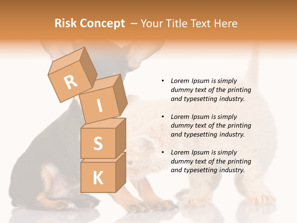 Chihuahua Cat Russian PowerPoint Template