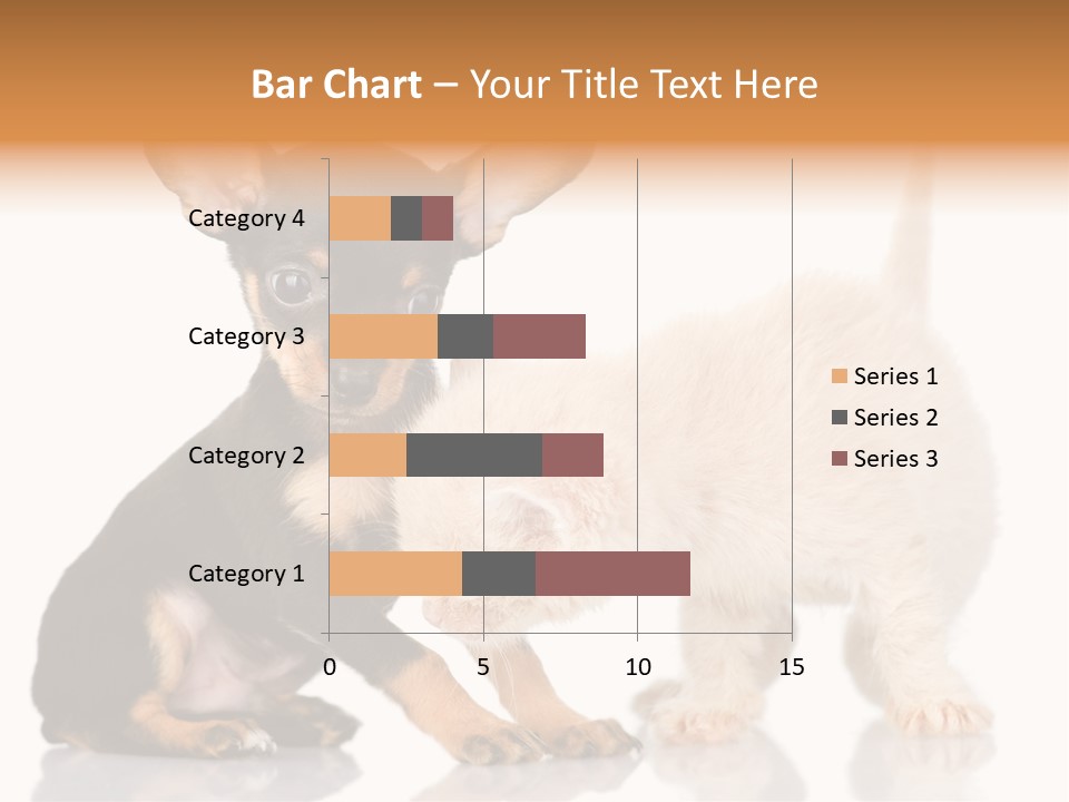 Chihuahua Cat Russian PowerPoint Template