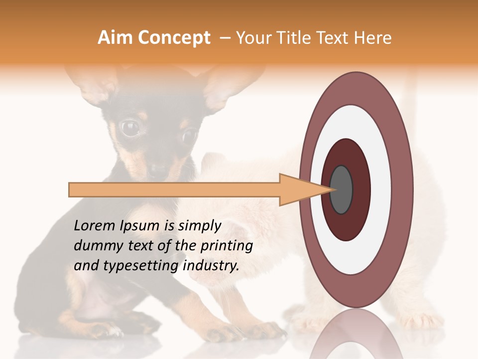 Chihuahua Cat Russian PowerPoint Template