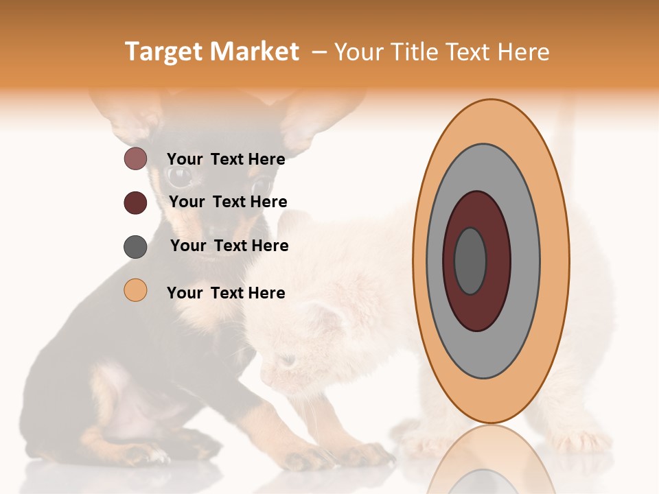 Chihuahua Cat Russian PowerPoint Template