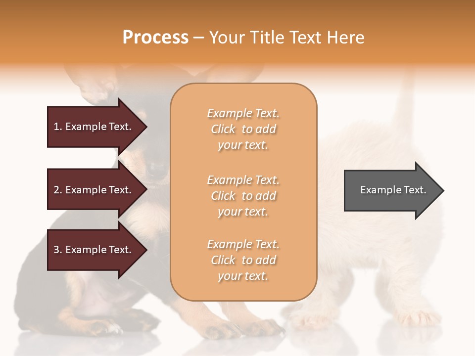 Chihuahua Cat Russian PowerPoint Template