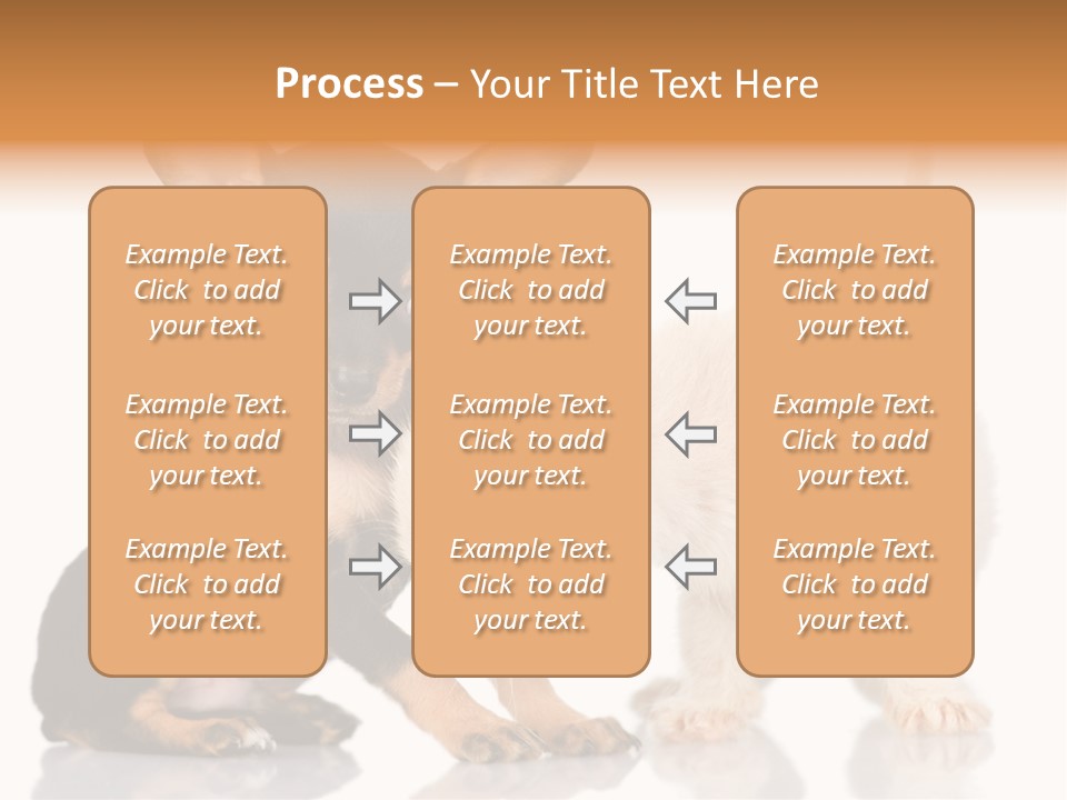 Chihuahua Cat Russian PowerPoint Template