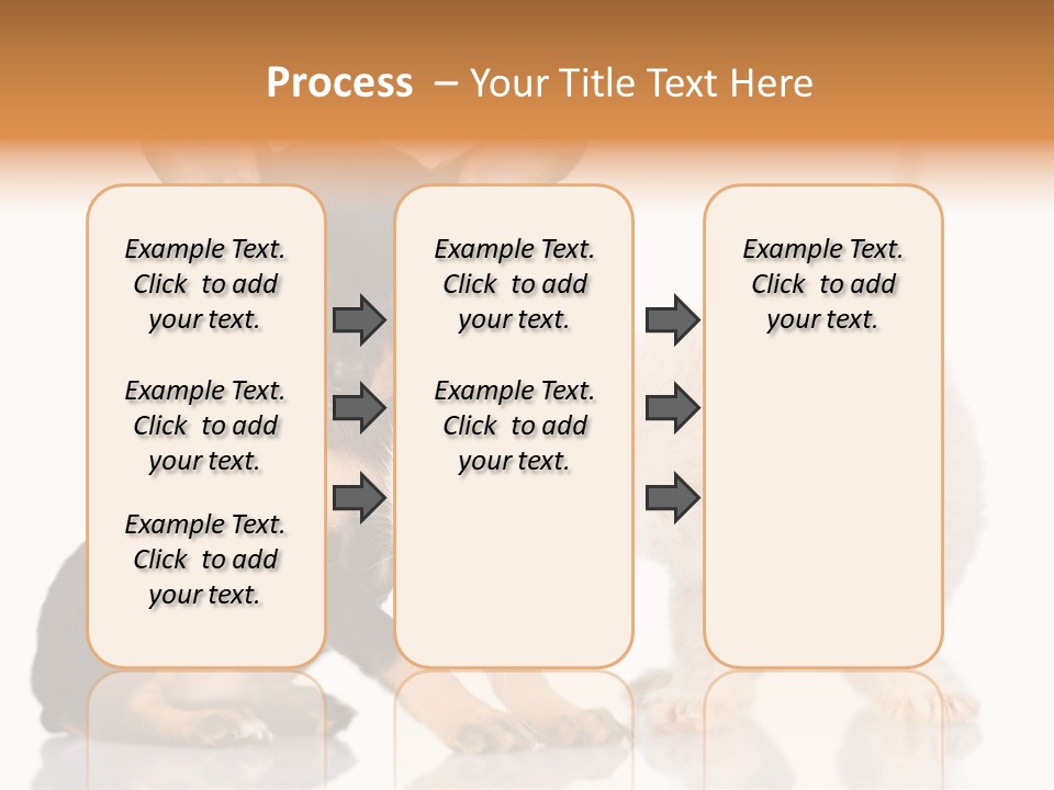 Chihuahua Cat Russian PowerPoint Template