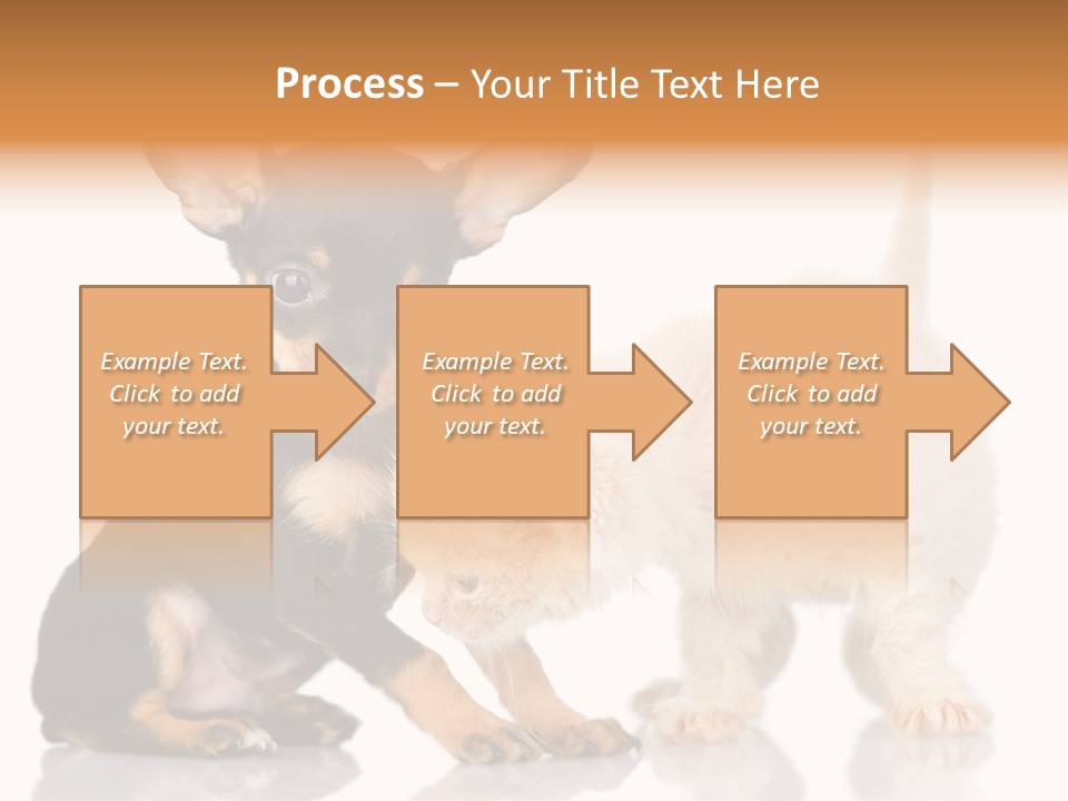 Chihuahua Cat Russian PowerPoint Template