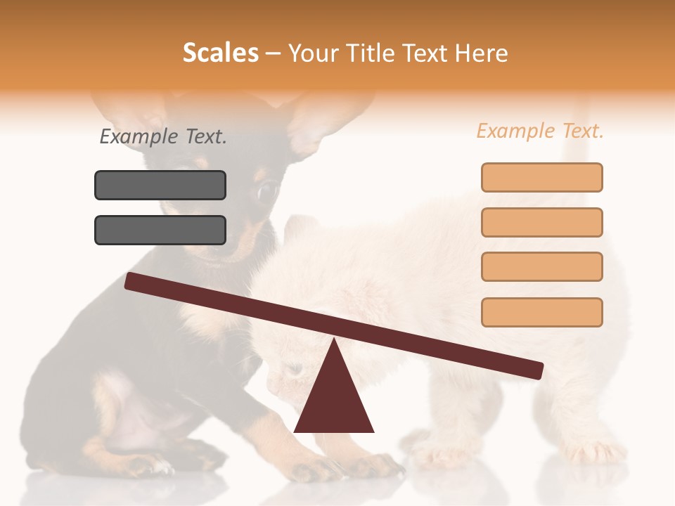 Chihuahua Cat Russian PowerPoint Template