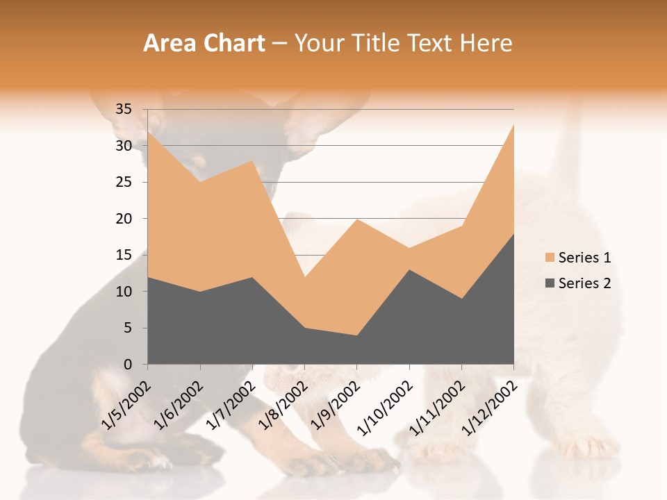 Chihuahua Cat Russian PowerPoint Template