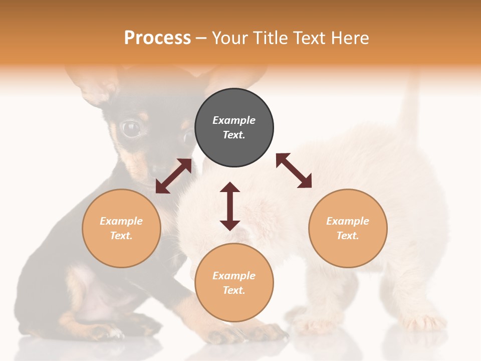 Chihuahua Cat Russian PowerPoint Template
