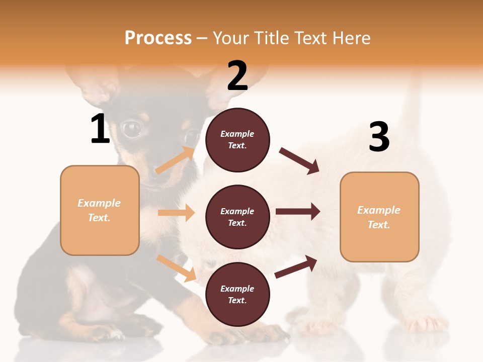 Chihuahua Cat Russian PowerPoint Template