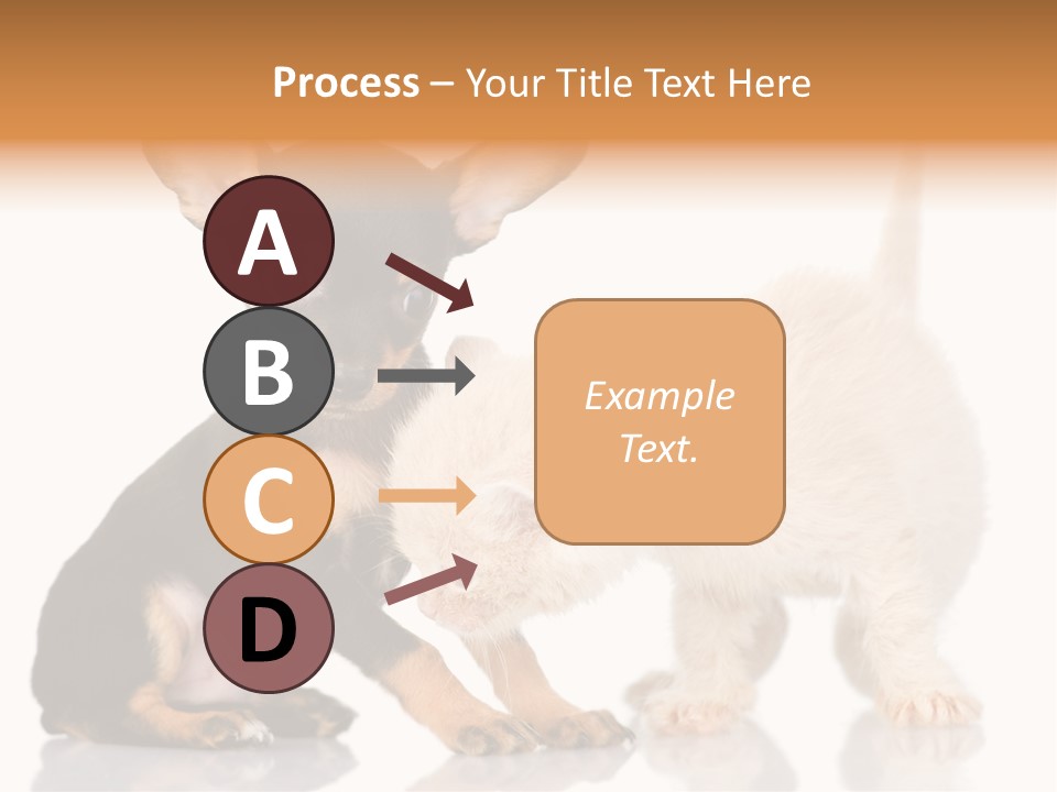 Chihuahua Cat Russian PowerPoint Template